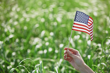 hand holding up an American flag in a corn field 