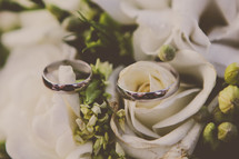 wedding bands on white roses 