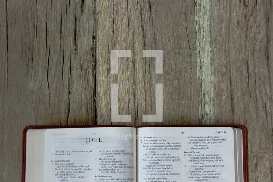 Bible opened to Joel 
