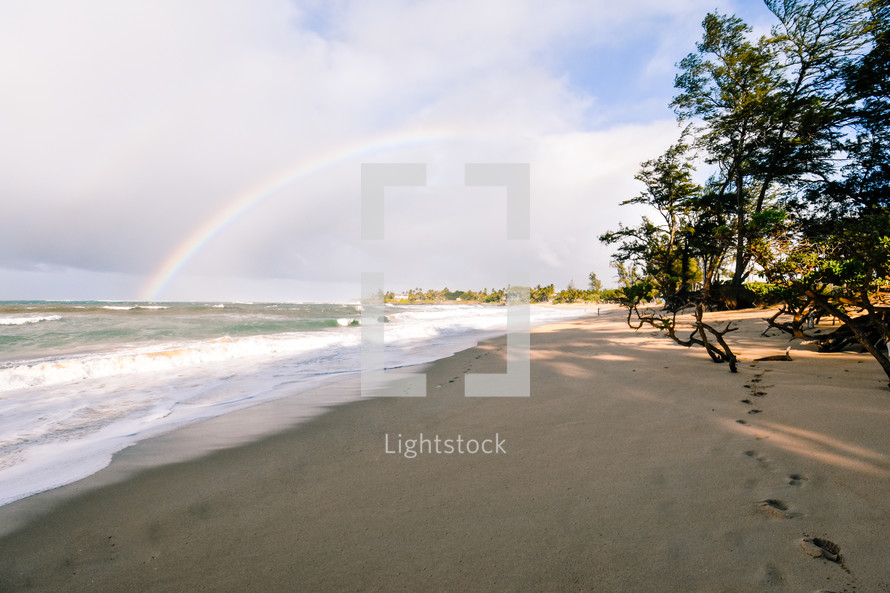rainbow over a beach 
