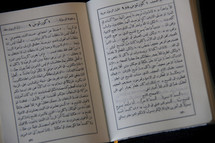 Arabic Bible. Middle East, missions.