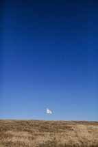 white surrender flag in a field
