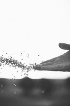 hand tossing seeds
