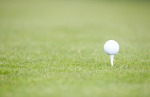 a golf ball on a tee 