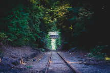 railroad track through a forest 