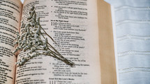 flowers laying on the pages of a Bible 