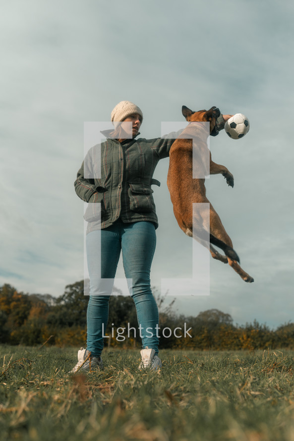Dog jumping playing with owner in a field, young German Shepherd chasing dog toy, woman wearing tweed jacket and hat, winter, autumn