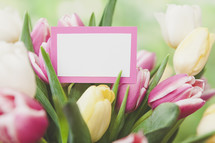 Spring Flowers for Mother's Day, Easter or Birthday with Blank Note Card