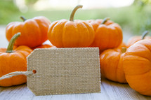 Autumn Thanksgiving Background with Blank Tag