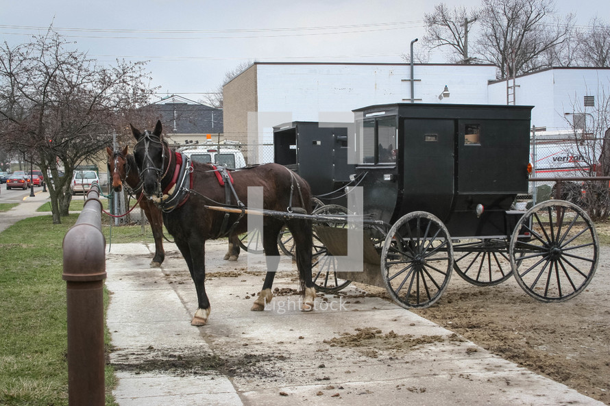 parked Amish horse and buggy 