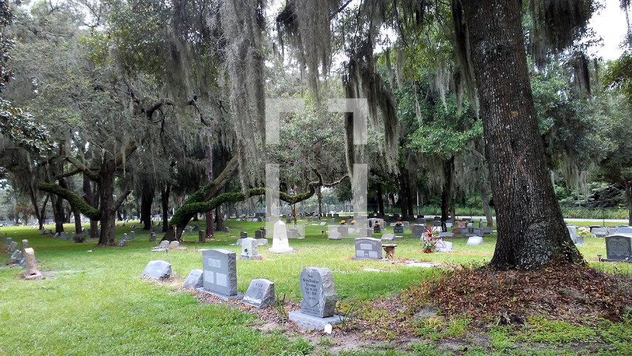 old cemetery 