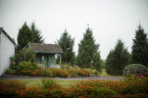 flower garden and shed 