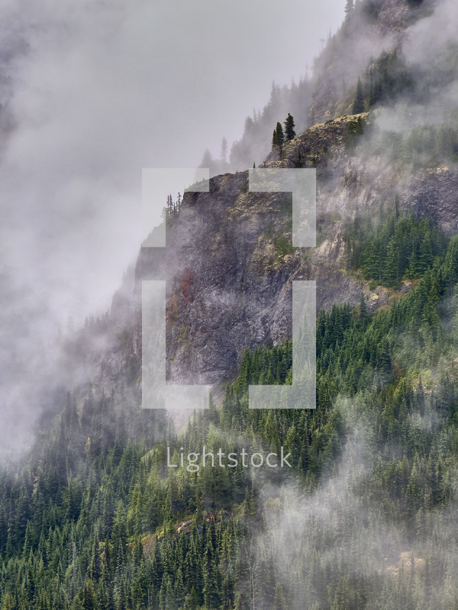 Misty mountains with alpine trees in the foreground.