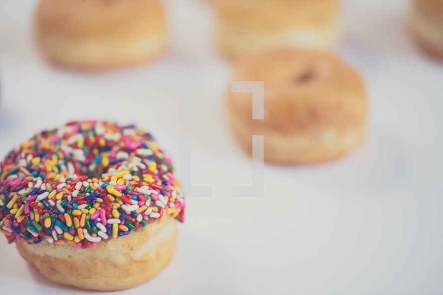sprinkled donuts on a white background 