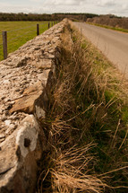 Rock wall and fence with tall grass along a long and narrow road.