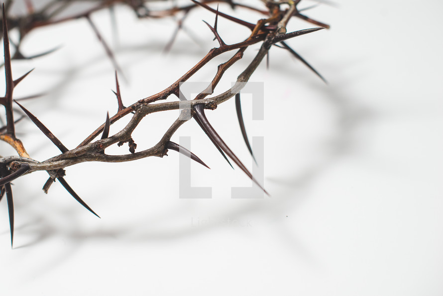 Crown of thorns Jesus Christ isolated on white