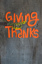 Giving Thanks 