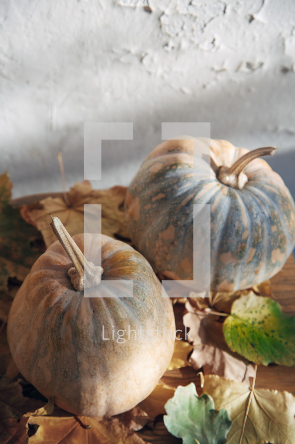 rustic pumpkins and fall leaves 