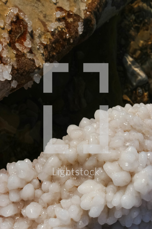 salt crystals at the Dead Sea