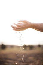 hands sprinkling seeds