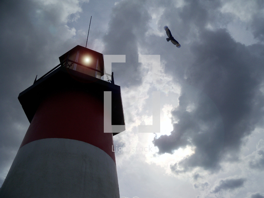An old and sturdy white and red striped light house juts out off the coast to be a light to ships at sea who are in need of safe harbor and protection from the storms at sea while a Hawk flies overhead against an evening sunset off the coast of the sea. 