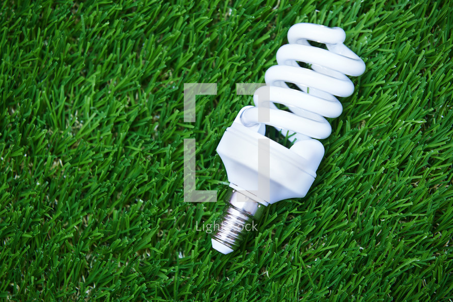 Energy saving bulb in the grass
