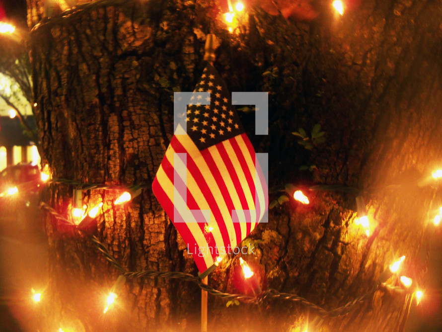 An American flag stands surrounded by Christmas lights in front of a tree in Gainesville, Florida during the Christmas holiday celebration. 