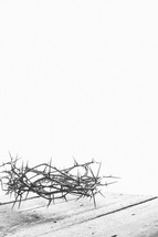 Jesus' Crown of Thorns