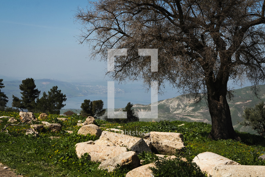 View of the Sea of Galilee and the Golan Heights from Umm Qais, Jordan
