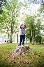a boy standing on a tree stump 