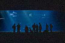 silhouettes of a people at an aquarium 