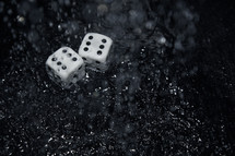 wet dice 