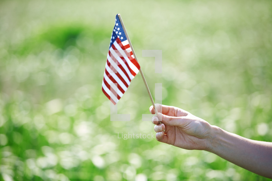 hand holding an American flag in a corn field 
