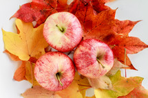 apples and fall leaves on white background 