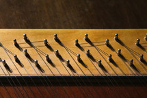 pegs on a stringed instrument 