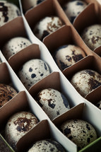 speckled eggs in a box 