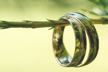 Wedding gold rings, on green plant stem 