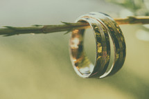 Wedding gold rings, on green plant stem 