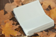 open notebook in fall leaves 
