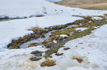 snow and lichen on muddy ground 