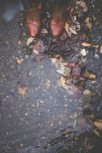 Boots standing on fall foliage in a shallow stream.