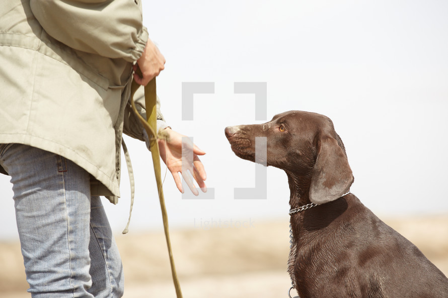 a man walking a dog on a leash 