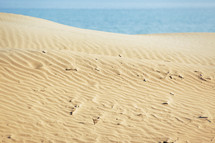 sand on a beach 