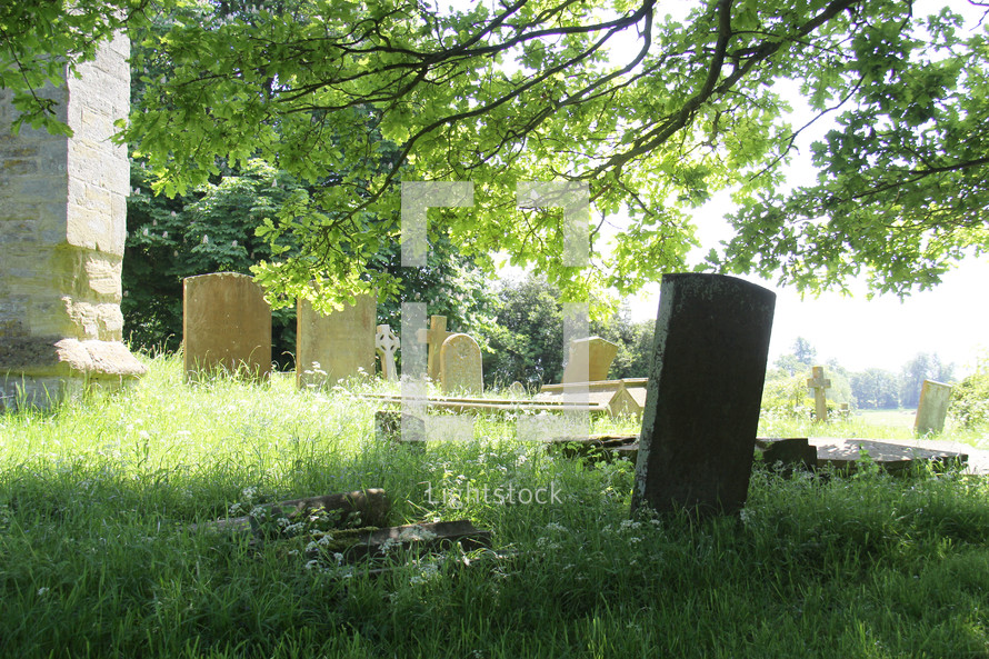 tombstones in an old cemetery 