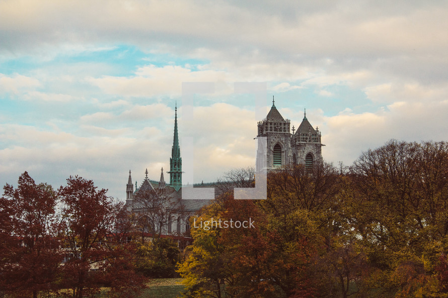 a cathedral and fall trees 