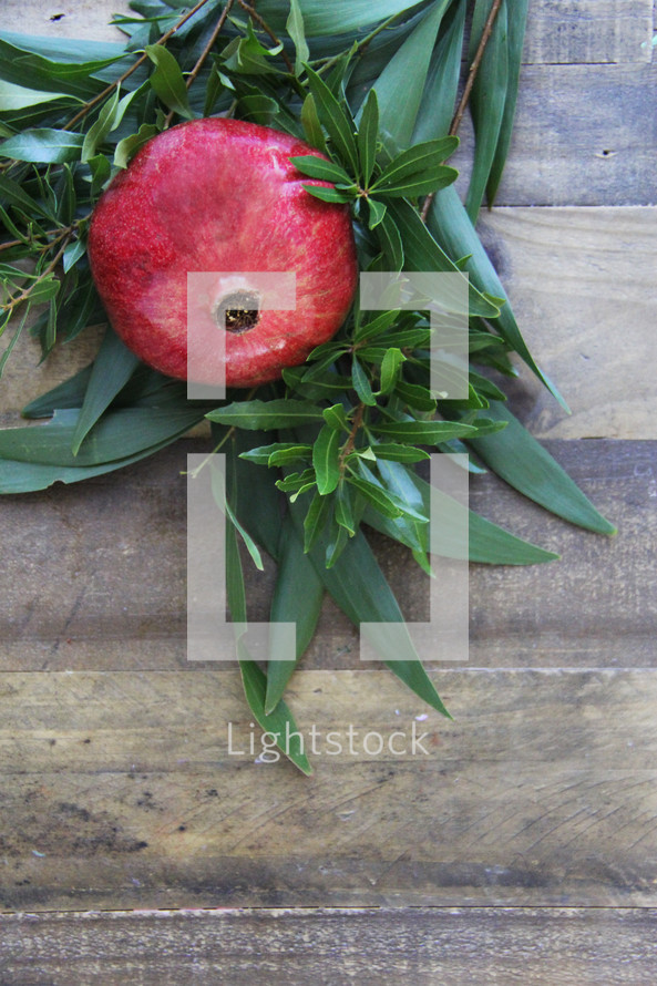 green leaves, pomegranate 
