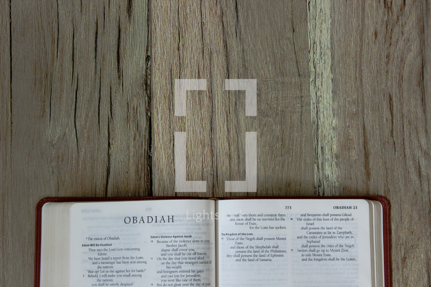 Bible opened to Obadiah 