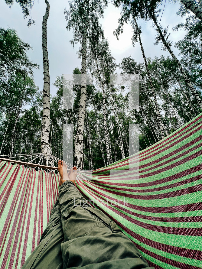 Legs of man, swinging on hammock at summer in birch forest. Enjoying, guy dreaming, resting under tree. Happy lifestyle. High quality