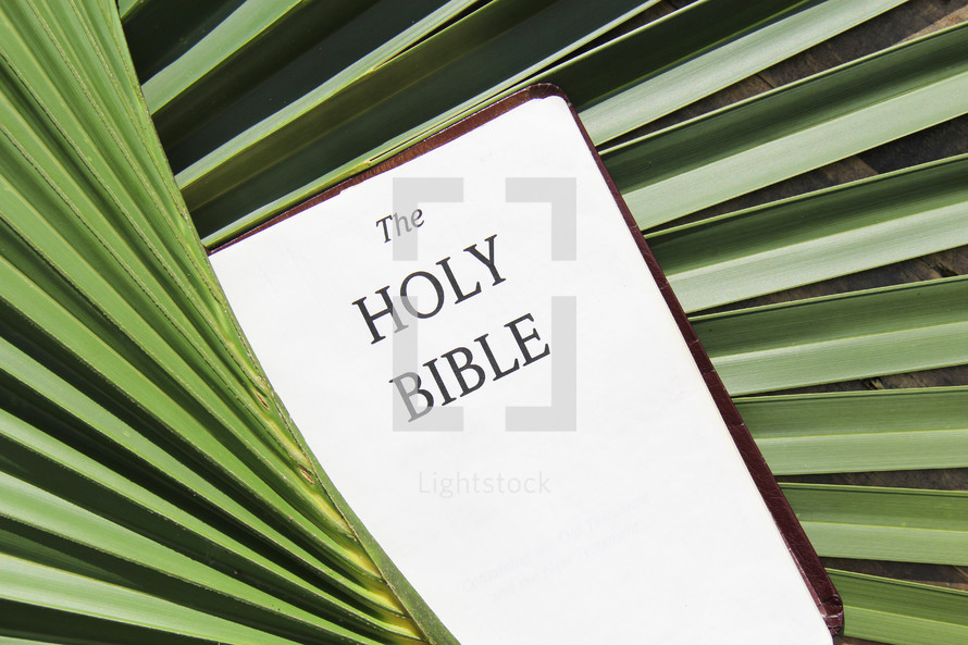 The Holy Bible in palm fronds 