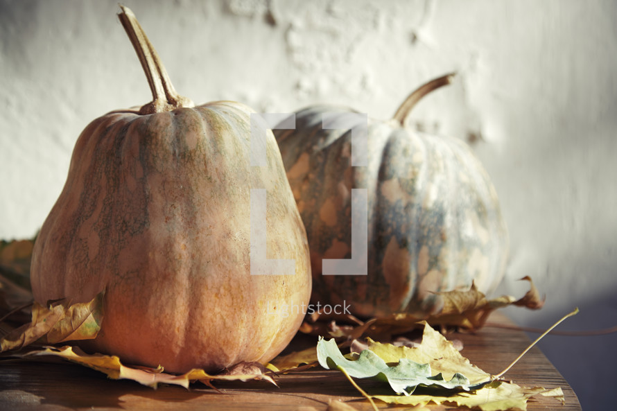 October pumpkins 